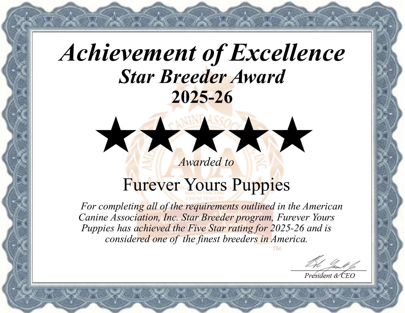Furever-Yours-Puppies, treasuredpaws, fureveryourspuppies, Furever,Yours,Puppies, dog, breeder, honey, brook, field, pa, official, home, page, homepage, Furever-Yours-Puppies. dog-breeder, puppies, for, sale, kennel, kennels, mini, bernadoondle, berna- doodle, bernedoodle, minibernedoodle, mini-bernedoodle, teacup, bernese, mountian, dog, mini-bernese, teacup-bernese, toy-Corgi , mini-Corgi , teacup-Corgi , teacup, red-Corgi , akc, akc-Corgi , akc-corgi, pembroke, welsh, corgi, pembrokecor